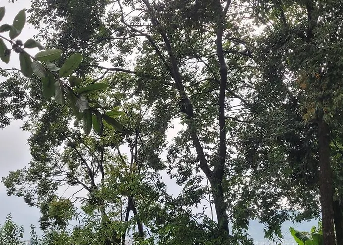 Karunamaya ホテル *